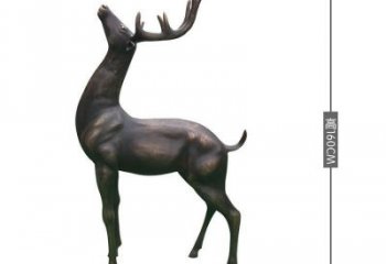 銅小鹿雕塑標(biāo)準(zhǔn)，景觀雕塑，小鹿銅雕塑提供
