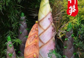 竹筍雕制造商，室外軟裝，不銹鋼竹筍雕塑生產(chǎn)商